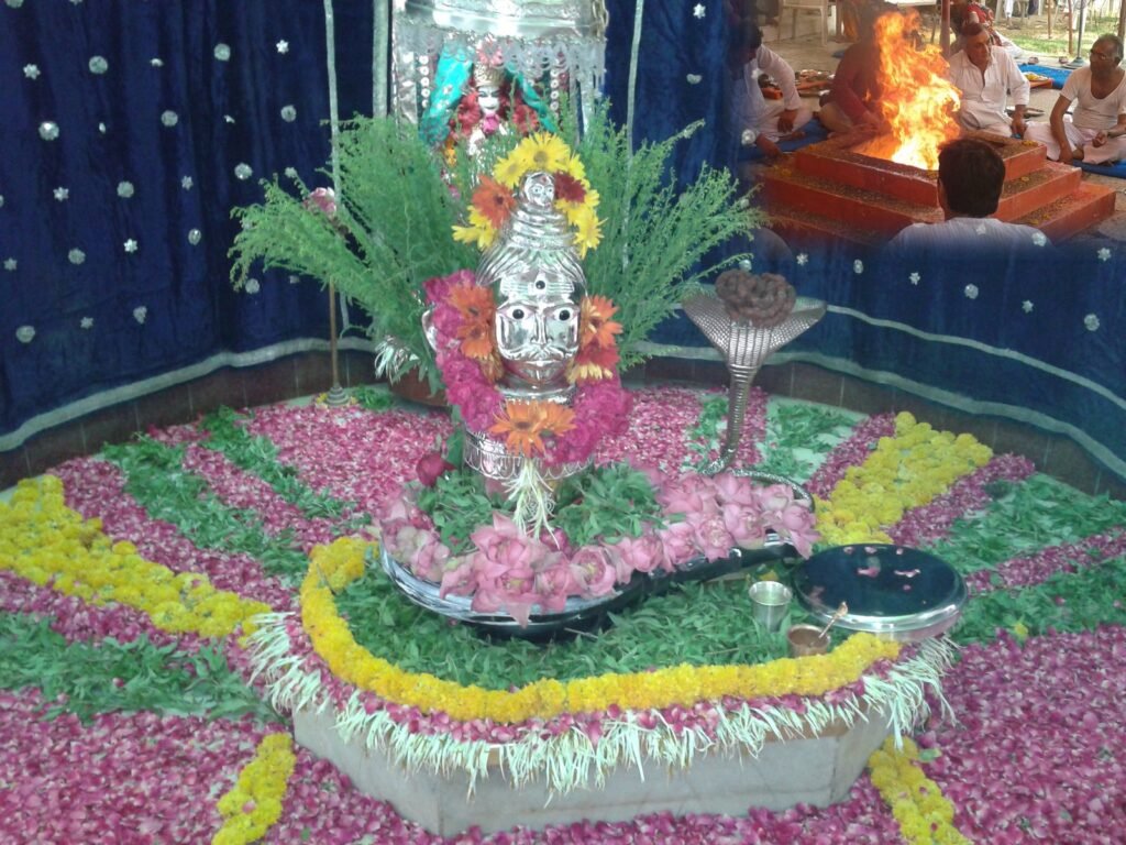 Vishwanath_Mahadev_Patotsav_May20_2011
